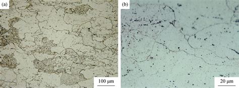 (a) Microstructure of as-received low-carbon steel; (b) higher... | Download Scientific Diagram