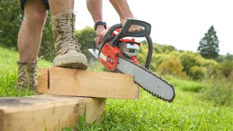 Top 6 Best Top Handle Chainsaws [MMMYYYY] Reviews & Buying Guide