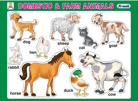 Frank Domestic and Farm Animals - Domestic and Farm Animals . Buy Farm Animals toys in India ...