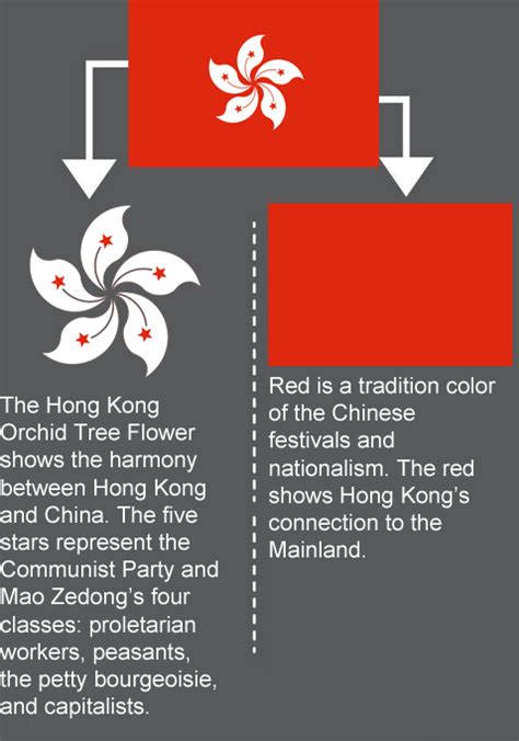 Meaning of the Flag of Hong Kong : r/vexillology