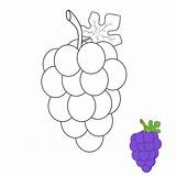 Grapes Coloring Page sketch template