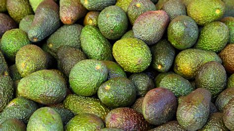 Why Thousands Of Avocados Are Being Given Away In Philadelphia