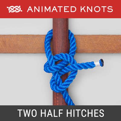 Two Half Hitches | How to tie a Two Half Hitches using Step-by-Step Animations | Animated Knots ...