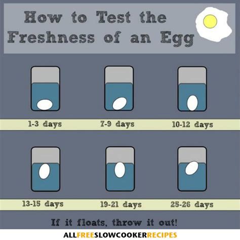 How to Test the Freshness of an Egg | AllFreeSlowCookerRecipes.com