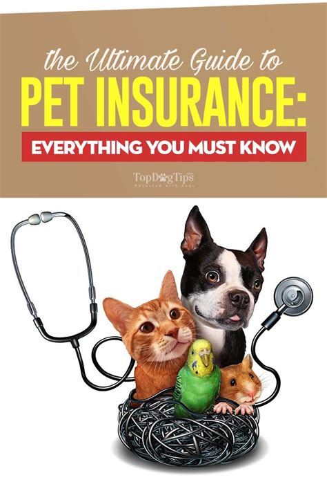 Pin on Dog Insurance