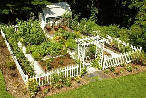 Garden Vegetable Garden With Cute Fence And Little House | Home vegetable garden design, Vege ...