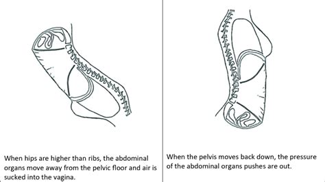 Vaginal flatus: Messages from the front – Beyond Basics Physical Therapy