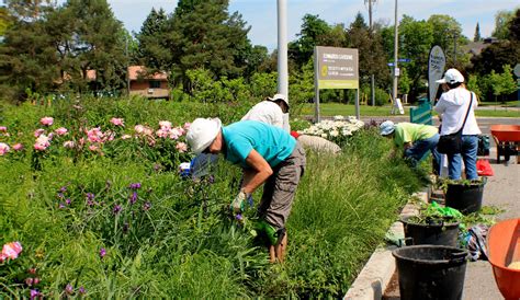 Become a Volunteer - Toronto Botanical GardenToronto Botanical Garden