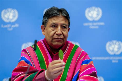 Bolivia buscará en la ONU acabar con la prohibición global de la hoja de coca – Diario La Hora