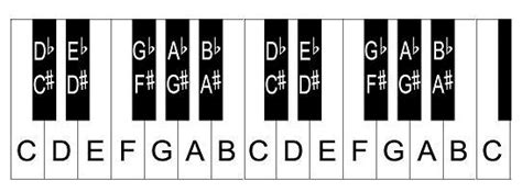 piano keyboard diagram, layout of keys and notes | Piano keys labeled, Piano, Keyboard piano