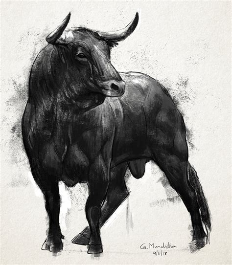 ArtStation - Bull Sketch