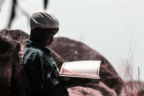 Photo of Boy Holding Book · Free Stock Photo