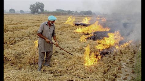 Farm fires dip but AQI deteriorates in some Punjab areas - Hindustan Times