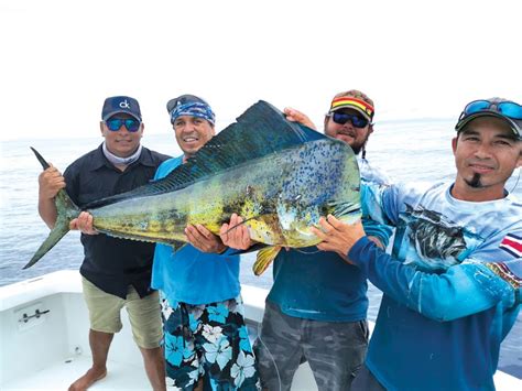 QUEPOS INSHORE / OFFSHORE REPORT - Coastal Angler & The Angler Magazine