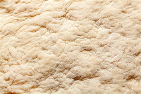 Dough texture stock image. Image of fresh, preparation - 42424255