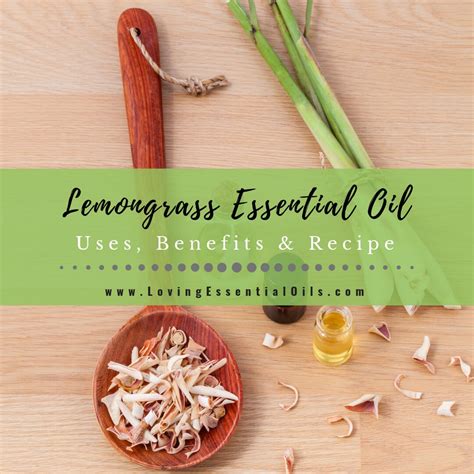 Lemongrass Essential Oil Uses, Benefits and Recipes - EO Spotlight