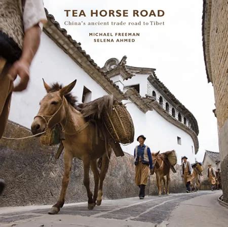 Book Review: Tea Horse Road - GoKunming