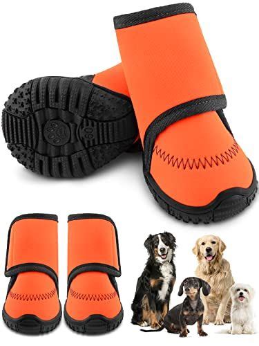 5 Best Dog Boots for Snow Reviewed in [2022] - DogStruggles | Dog ...