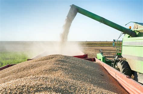 Containerized Shipping of U.S. Soybeans Spikes in Asian Countries - Global Trade Magazine