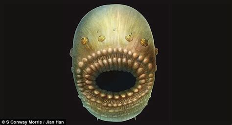 Earliest known human ancestor is revealed in China | Daily Mail Online