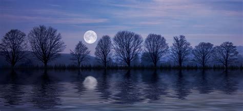 Download Full Moon, Reflection, Water. Royalty-Free Stock Illustration Image - Pixabay