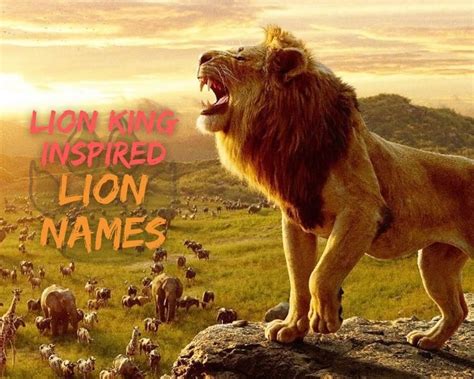 20+ Lion King Names | Best Lion Names Inspired By The Lion King