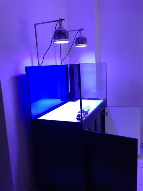 LED Aquarium Lighting Blog | Orphek: IMPRESSIVE MONTI GROWTH WITH ...