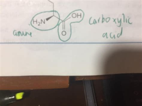 The functional group can also be amide right? Thank you to those who will comment. : r/chemhelp