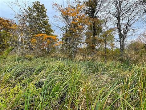 Protecting Places Crucial for Nature in Ohio