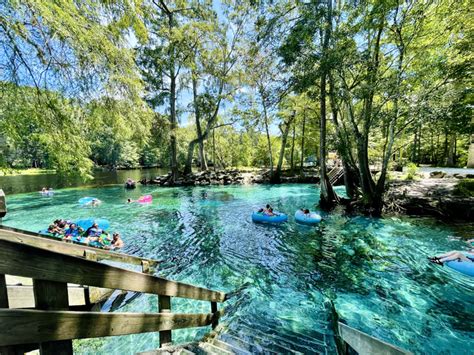 Explore Florida's Natural Springs | Florida Farm Bureau Insurance