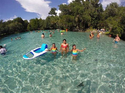 The Natural Swimming Hole In Florida That Will Take You Back To The ...