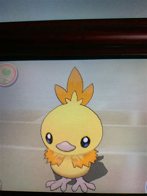 Shiny Torchic by KaijuInfinity on DeviantArt