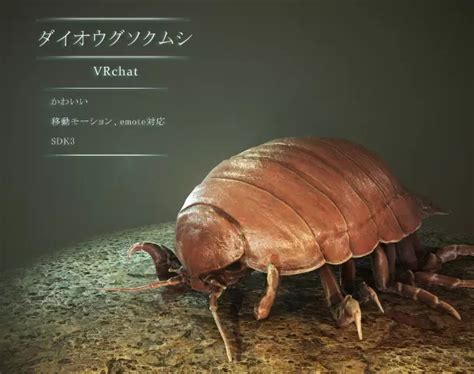 3D model for Giant Isopod | By okkuzbrush | VRCArena