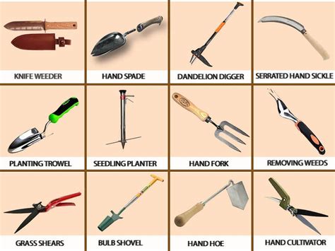 Gardening Hand Tools and Their Uses in 2020 | Garden hand tools, Hand ...