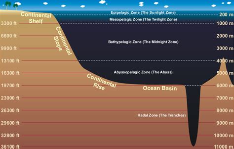 Layers of the Ocean | Physical Geography