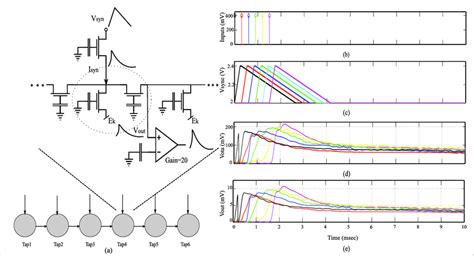 System overview for a dendrite branch. (a) Detailed diagram for a ...