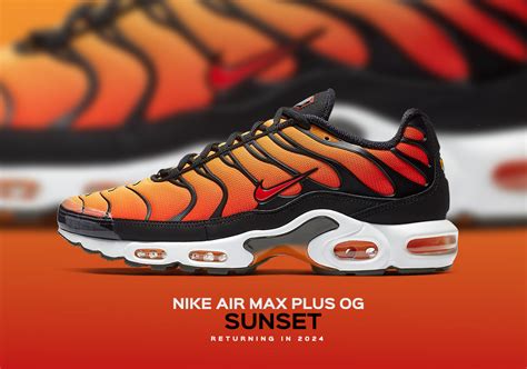 Nike Air Max Plus Tn Sunset Factory Sale | prginc.net