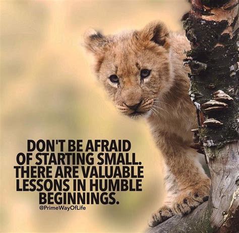 "Don't be afraid of starting small. There are valuable lessons in humble beginnings ...