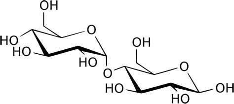 File:Maltose structure.svg - Wikimedia Commons