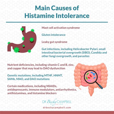 Histamine intolerance symptoms – Artofit