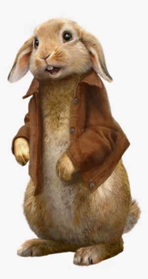 Peter Rabbit PNG Images | PNG Cliparts Free Download on SeekPNG