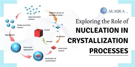 Crystallization Process