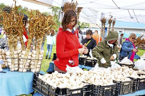 Hudson Valley Garlic Festival in Saugerties brings out droves in search of cloves – Daily Freeman