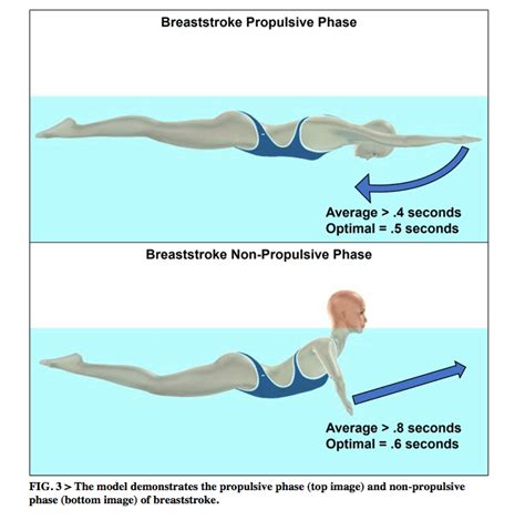 Swimming Technique Concepts: Maximizing Velocity For Back, Breast