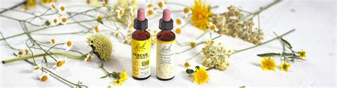 OFFICIAL Bach Flower Remedies | Shop Sales & Deals, Save Now