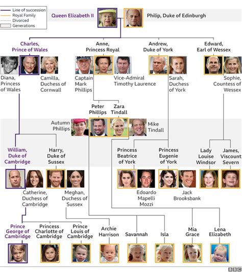 Royal Family tree: King Charles III's closest family and order of succession | Royal family ...