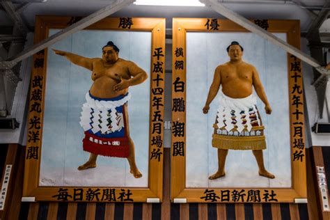 Visit Sumo wrestling training in Japan - E&T Abroad