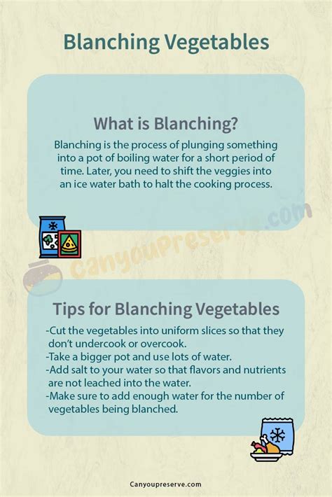 Blanching Vegetables Directions & Timings – How Do You Blanch Vegetables Before Cooking? – Can ...