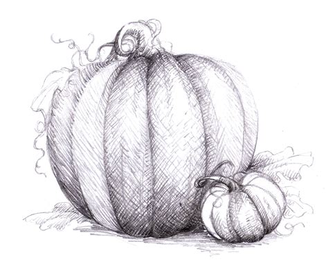 Magellin . Blog: Pumpkin drawing