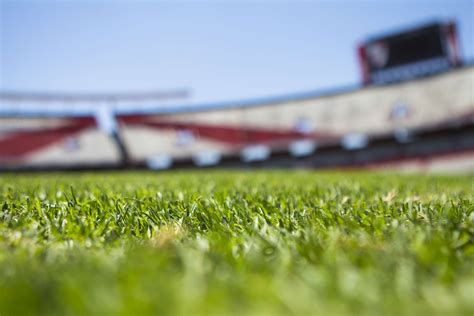 #field #grass #green #morning #soccer #stadium | World of sports ...